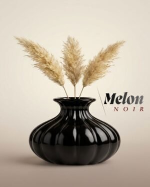 melon noir hero image