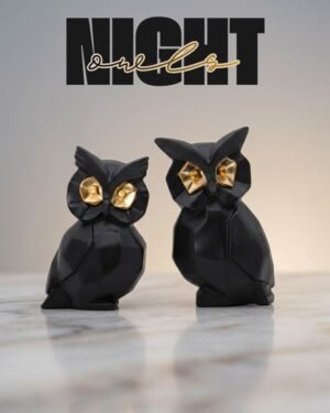 night owls hero image