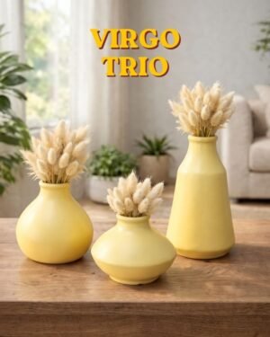 virgo set hero image